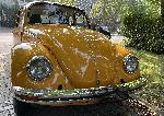 VW Käfer marino-gelb