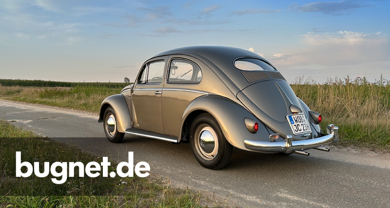 bugnet.de - Forum & Community.