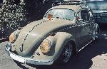 VW Käfer Ovali