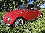 Kfer Cabrio 1965 Ribin Rot body off restaurierd