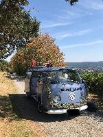 Seltener taubenblauer T2a zu verkaufen