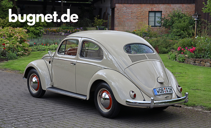 bugnet.de - Forum & Community.