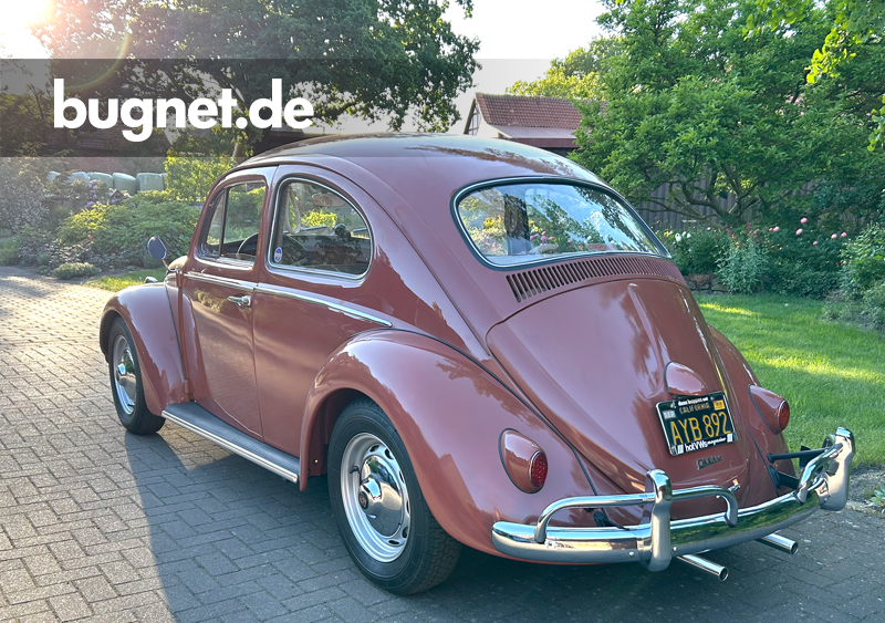 bugnet.de - Forum & Community.